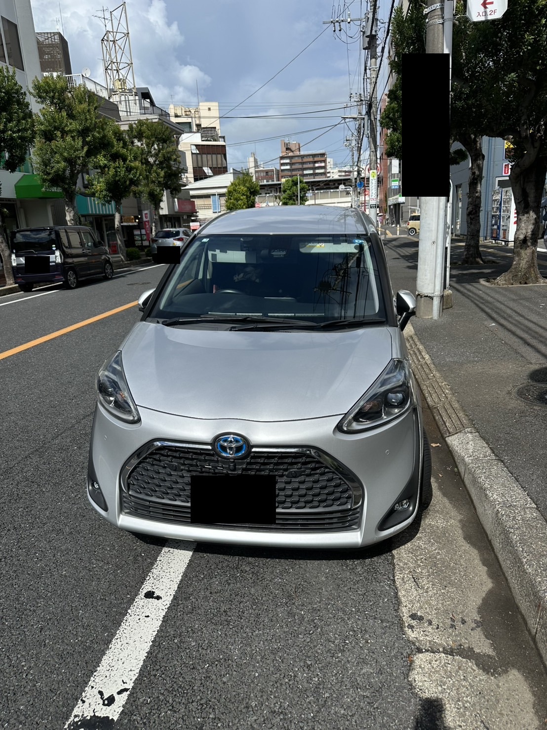 路肩に停車したシルバーのミニバンを正面から見た様子